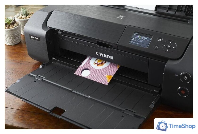 Принтер Canon PIXMA PRO-200 - Изображение №9 — Интернет-магазин Time-Shop