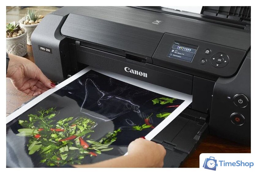 Принтер Canon PIXMA PRO-200 - Изображение №10 — Интернет-магазин Time-Shop