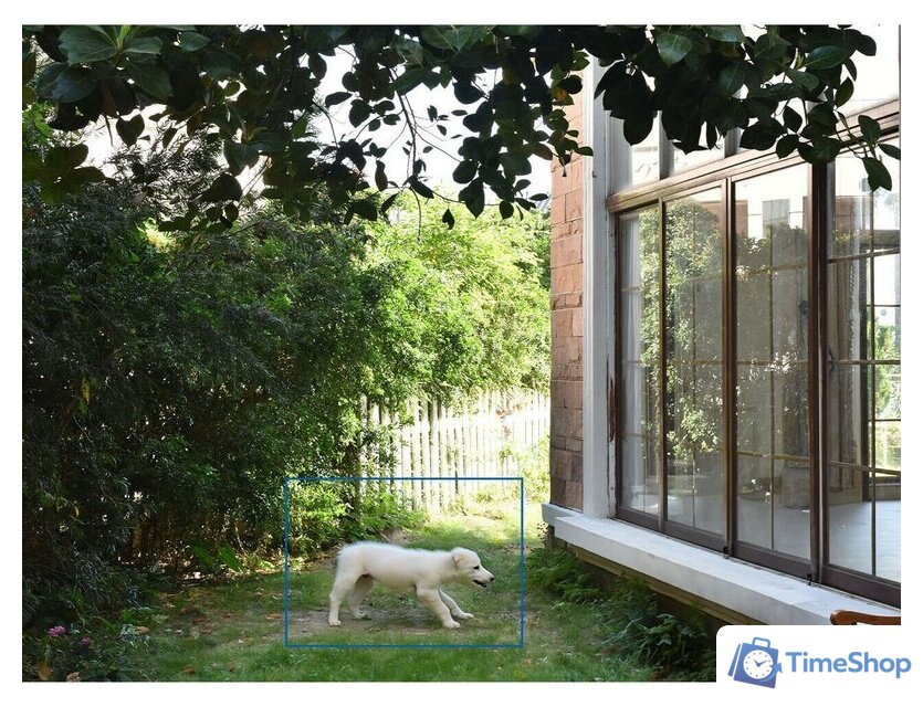 IP-камера TP-Link Tapo C460 - Изображение №16 — Интернет-магазин Time-Shop