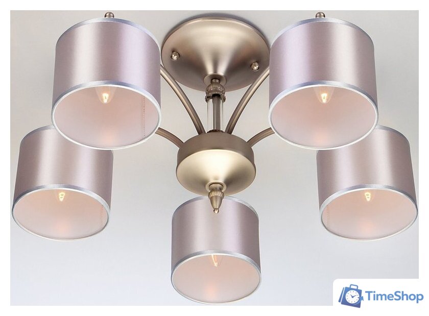 Припотолочная люстра Евросвет 60080/5 (никель) - Изображение №4 — Интернет-магазин Time-Shop