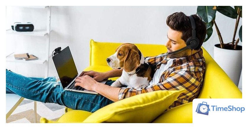 Наушники Axtel Voice UC40 Mono NC - Изображение №6 — Интернет-магазин Time-Shop