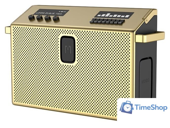 Беспроводная колонка Defunc Mondo BT Speaker Large (латунный) - Изображение №1 — Интернет-магазин Time-Shop