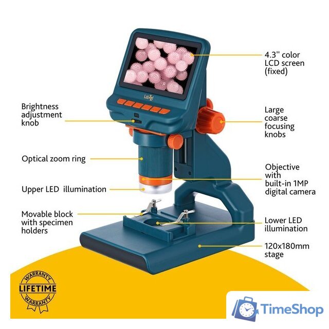 Детский микроскоп Levenhuk LabZZ DM200 LCD 76827 - Изображение №15 — Интернет-магазин Time-Shop