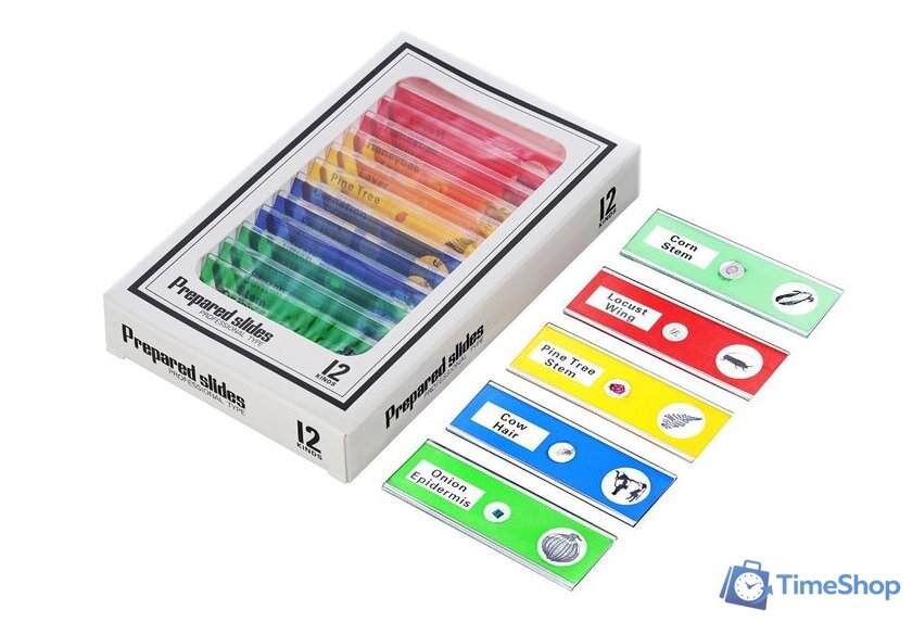 Детский микроскоп Levenhuk LabZZ DM200 LCD 76827 - Изображение №13 — Интернет-магазин Time-Shop