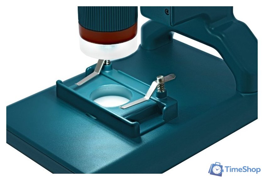 Детский микроскоп Levenhuk LabZZ DM200 LCD 76827 - Изображение №11 — Интернет-магазин Time-Shop