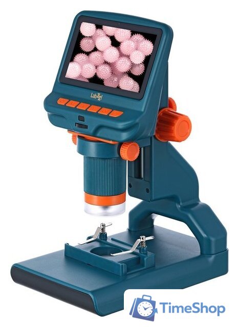 Детский микроскоп Levenhuk LabZZ DM200 LCD 76827 - Изображение №1 — Интернет-магазин Time-Shop
