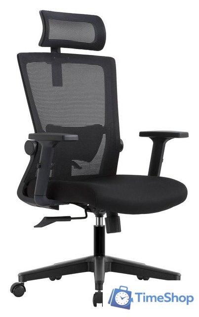 Офисное кресло Evolution ErgoLine 1 (черный) - Изображение №1 — Интернет-магазин Time-Shop