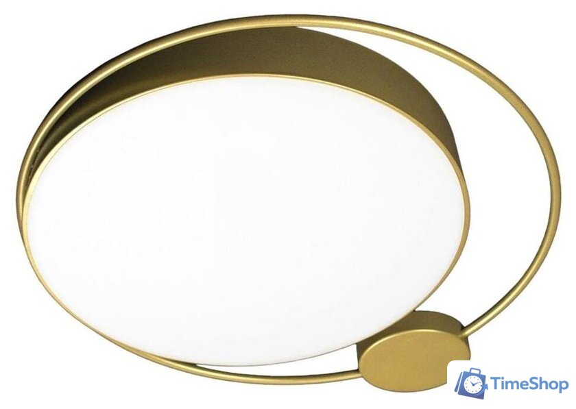 Светильник-тарелка LOFT IT Mike 10063 - Изображение №1 — Интернет-магазин Time-Shop