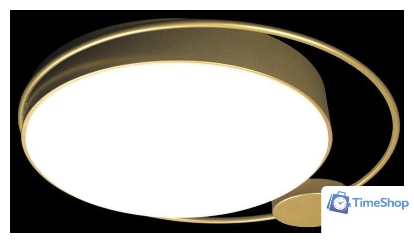 Светильник-тарелка LOFT IT Mike 10063 - Изображение №2 — Интернет-магазин Time-Shop