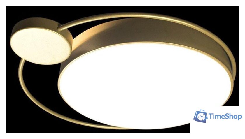 Светильник-тарелка LOFT IT Mike 10063 - Изображение №5 — Интернет-магазин Time-Shop