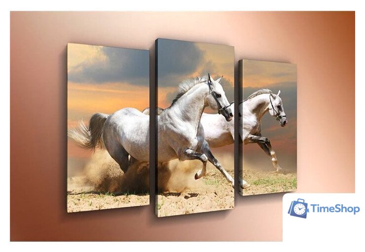 Модульная картина Arthata m-000324 120x80 - Изображение №1 — Интернет-магазин Time-Shop