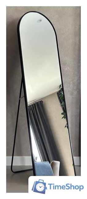 Зеркало EMZE Арка 45х150 DK0915.CHE (черный) - Изображение №1 — Интернет-магазин Time-Shop