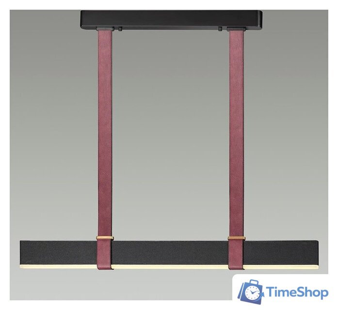 Подвесная люстра Odeon Light Vincent 6629/25L - Изображение №3 — Интернет-магазин Time-Shop