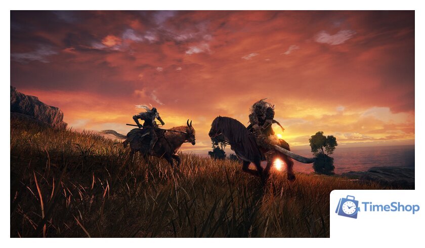  Elden Ring для PlayStation 5 - Изображение №5 — Интернет-магазин Time-Shop