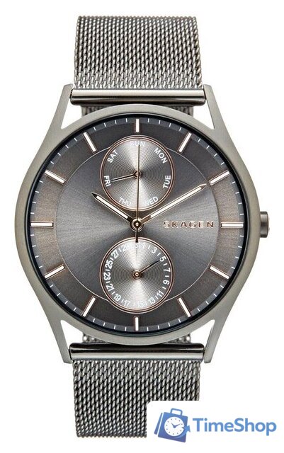 Наручные часы Skagen SKW6180 - Изображение №1 — Интернет-магазин Time-Shop