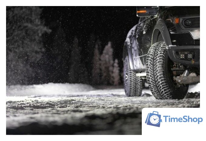 Зимние шины Nokian Tyres Hakkapeliitta LT3 265/70R17 121/118Q (шипы) - Изображение №4 — Интернет-магазин Time-Shop