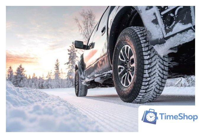 Зимние шины Nokian Tyres Hakkapeliitta LT3 265/70R17 121/118Q (шипы) - Изображение №6 — Интернет-магазин Time-Shop