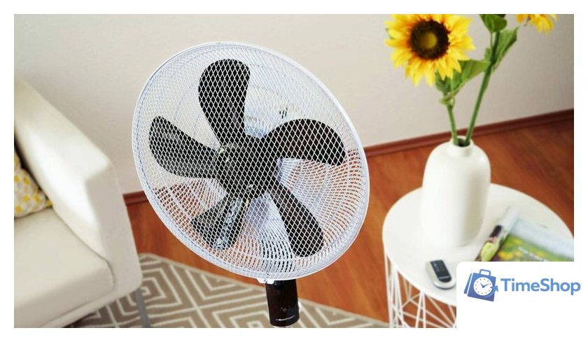 Вентилятор Blaupunkt ASF701 - Изображение №2 — Интернет-магазин Time-Shop