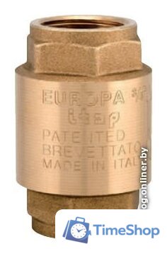 Фитинг ITAP Обратный клапан 100 2