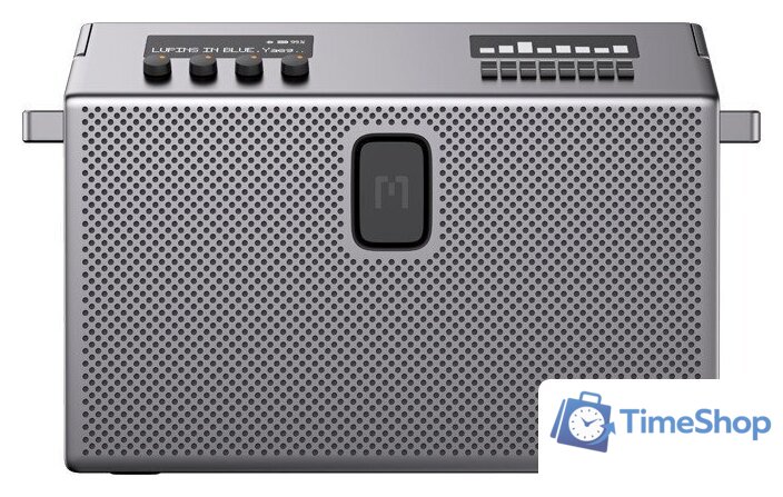 Беспроводная колонка Defunc Mondo BT Speaker Large (серебристый) - Изображение №2 — Интернет-магазин Time-Shop