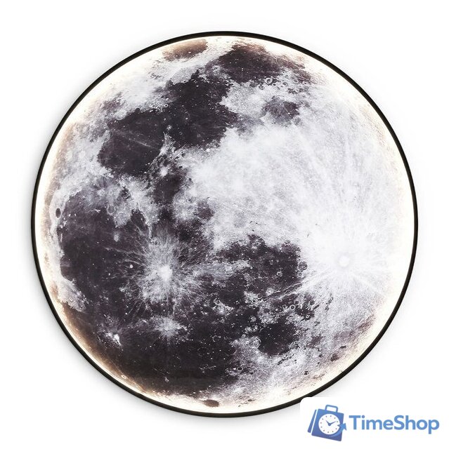 Светильник-тарелка Ambrella light FW11113 BK (черный) - Изображение №1 — Интернет-магазин Time-Shop