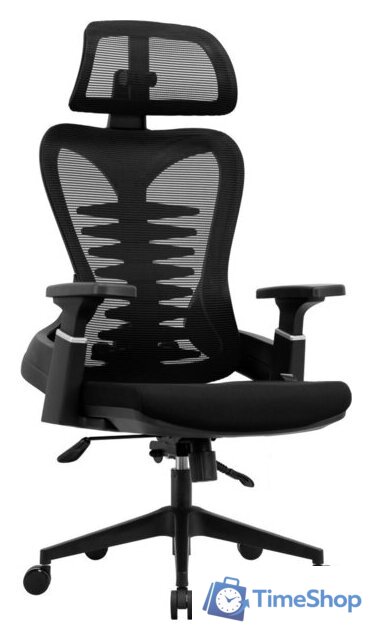 Офисное кресло Evolution HarmonySpine (черный) - Изображение №1 — Интернет-магазин Time-Shop