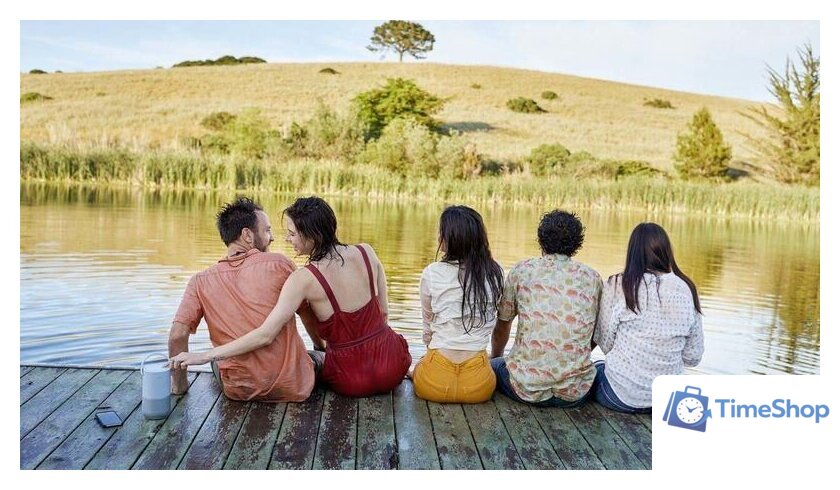 Умная колонка Bose Portable Home Speaker (серебристый) - Изображение №8 — Интернет-магазин Time-Shop