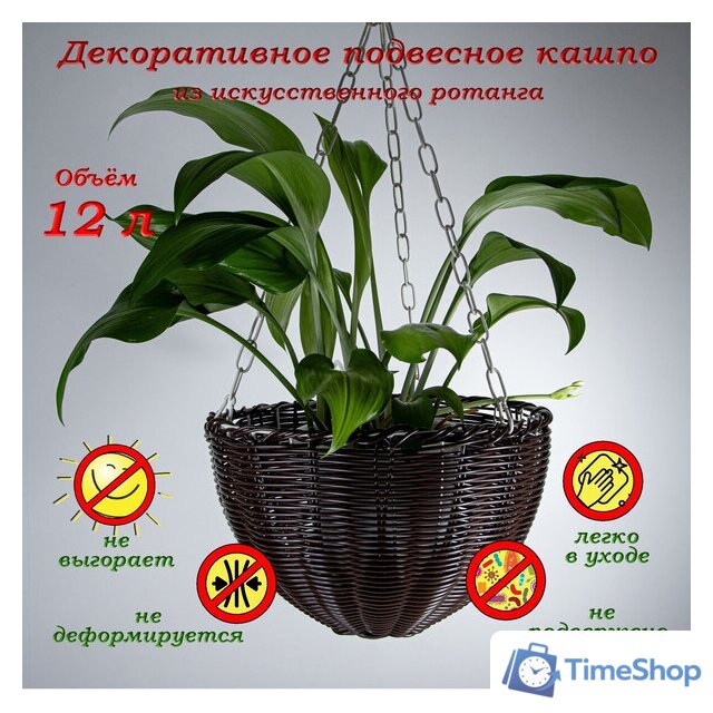 Кашпо Элетех 4845000014 - Изображение №6 — Интернет-магазин Time-Shop