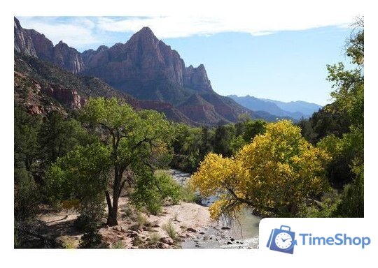 Объектив Sony FE 50mm F1.4 GM - Изображение №29 — Интернет-магазин Time-Shop