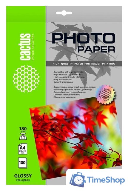 Фотобумага CACTUS Глянцевая A4 180 г/кв.м. 100 листов CS-GA4180100 - Изображение №1 — Интернет-магазин Time-Shop
