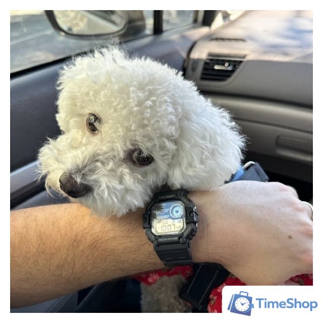 Наручные часы Casio Collection WS-1700H-1A - Изображение №3 — Интернет-магазин Time-Shop