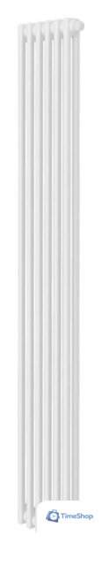 Стальной трубчатый радиатор Royal Thermo Insignia VC2180 - 06 секций RAL9016 - Изображение №1 — Интернет-магазин Time-Shop