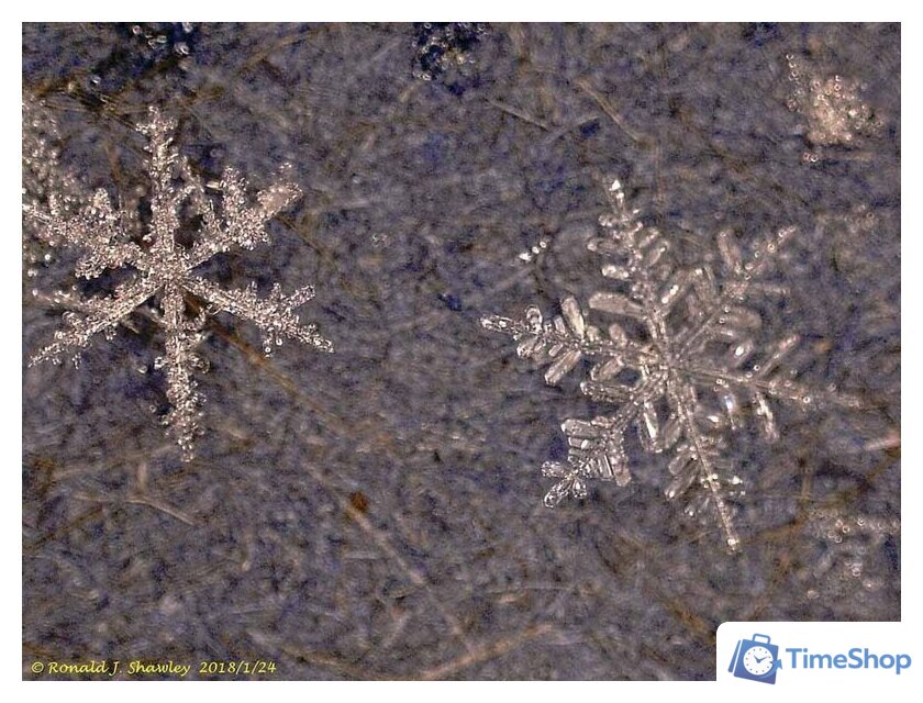 Микроскоп Levenhuk DTX 500 LCD 61024 - Изображение №2 — Интернет-магазин Time-Shop