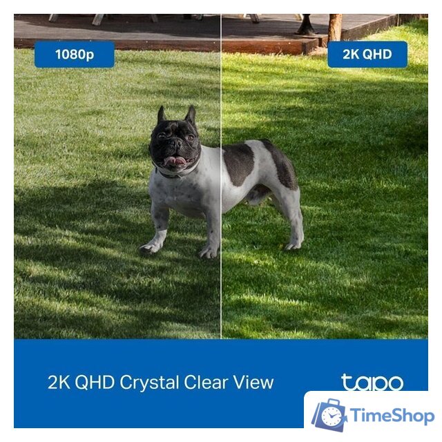 Комплект IP-камер TP-Link Tapo C425 (2-pack) - Изображение №13 — Интернет-магазин Time-Shop