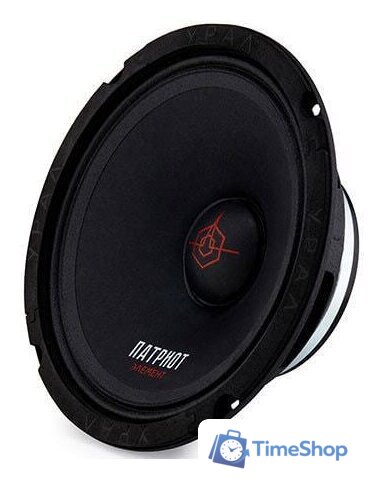 Среднечастотная АС Урал Патриот АС-ПТ165 Элемент - Изображение №2 — Интернет-магазин Time-Shop