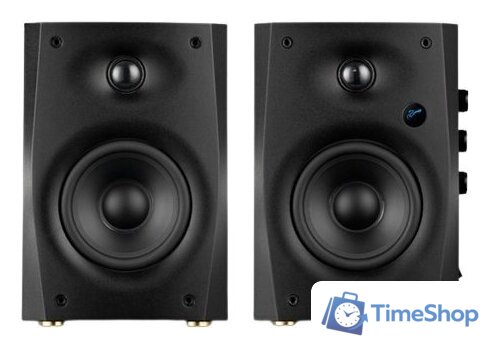 Акустика Swan D1100 - Изображение №1 — Интернет-магазин Time-Shop