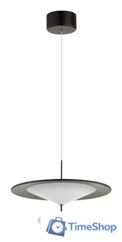 Подвесная люстра Odeon Light Steka 5012/16L - Изображение №1 — Интернет-магазин Time-Shop