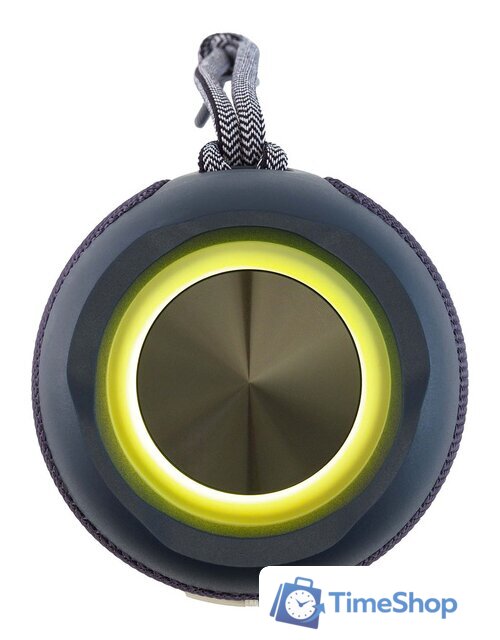 Беспроводная колонка Hyundai H-PAC610 - Изображение №4 — Интернет-магазин Time-Shop