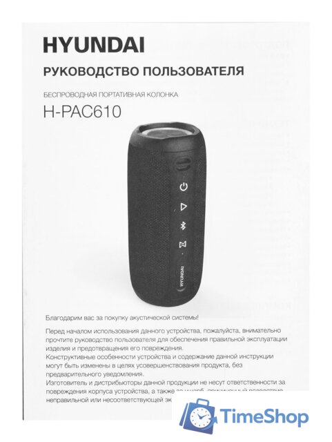 Беспроводная колонка Hyundai H-PAC610 - Изображение №11 — Интернет-магазин Time-Shop