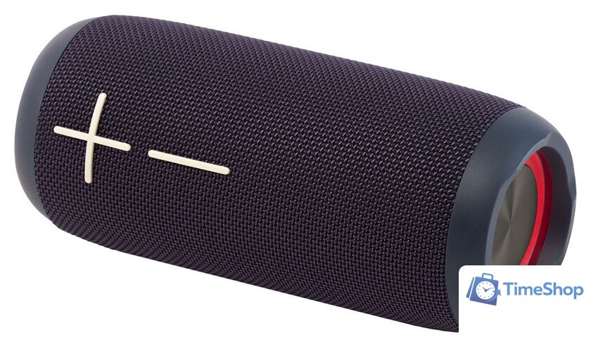 Беспроводная колонка Hyundai H-PAC610 - Изображение №1 — Интернет-магазин Time-Shop