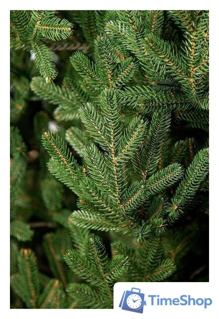 Ель GreenTerra Элоди 2.1 м - Изображение №7 — Интернет-магазин Time-Shop