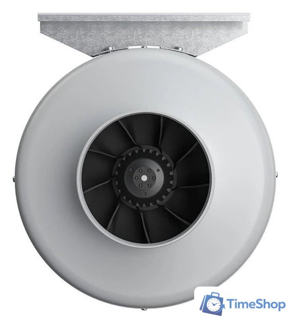 Осевой вентилятор ERA D125 Pro Cyclone 125 - Изображение №3 — Интернет-магазин Time-Shop