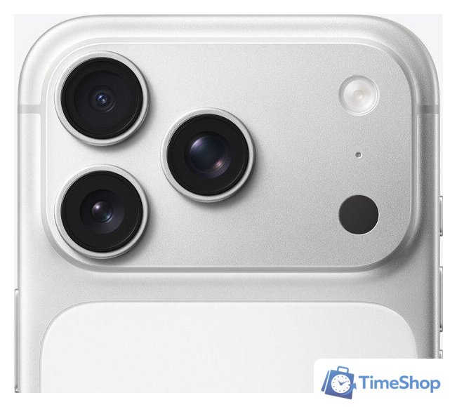 Телефон Apple iPhone 17 Pro 256GB (серебристый) - Изображение №4 — Интернет-магазин Time-Shop