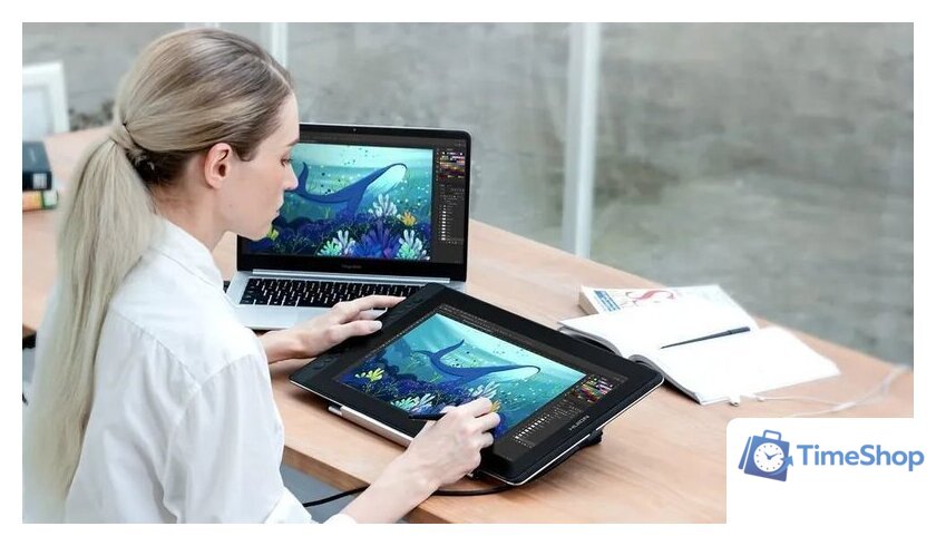Графический монитор Huion Kamvas Pro 16 - Изображение №13 — Интернет-магазин Time-Shop