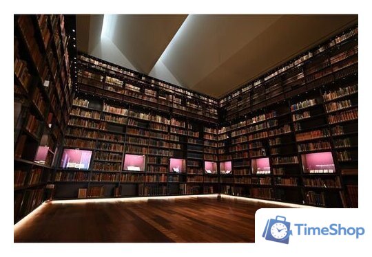 Объектив Nikon NIKKOR Z 17-28mm f/2.8 - Изображение №7 — Интернет-магазин Time-Shop