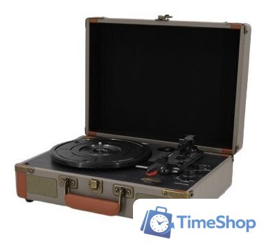 Виниловый проигрыватель Ritmix LP-130B (серый) - Изображение №1 — Интернет-магазин Time-Shop