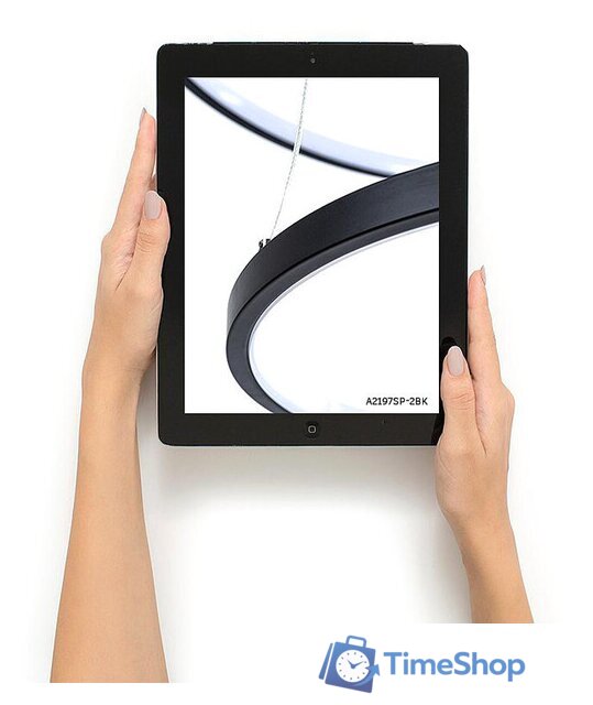 Подвесная люстра Arte Lamp Frodo A2197SP-2BK - Изображение №3 — Интернет-магазин Time-Shop