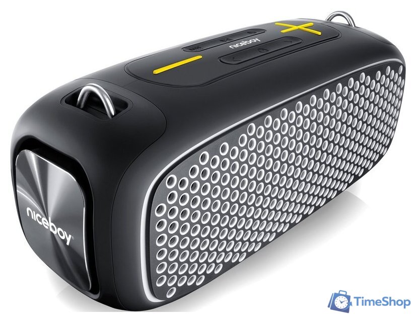 Беспроводная колонка Niceboy Raze Zeus - Изображение №1 — Интернет-магазин Time-Shop