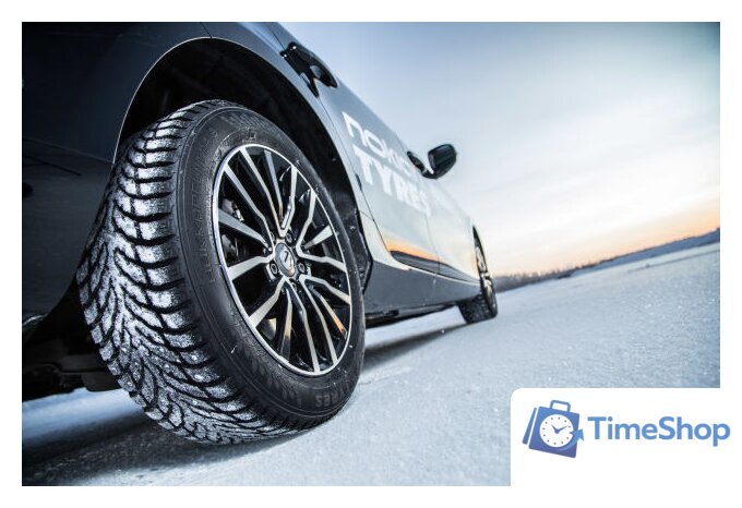 Зимние шины Nokian Tyres Hakkapeliitta 9 225/55R17 101T (шипы) - Изображение №2 — Интернет-магазин Time-Shop