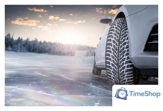 Зимние шины Nokian Tyres Hakkapeliitta 9 225/55R17 101T (шипы) - Изображение №3 — Интернет-магазин Time-Shop